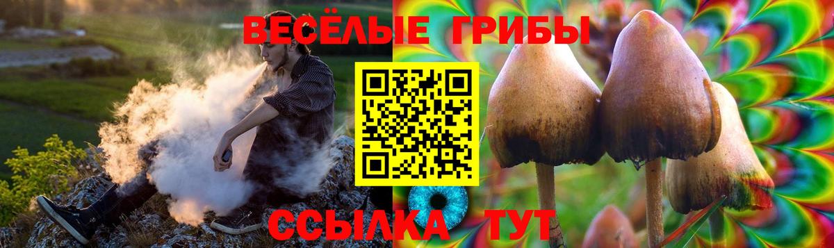 Галлюциногенные грибы мухоморы Солнечногорск